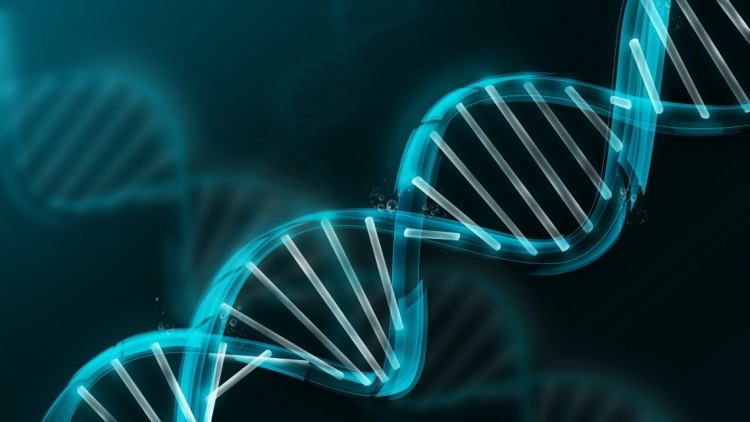 Microsoft consegue guardar vídeo de 200 MB em DNA